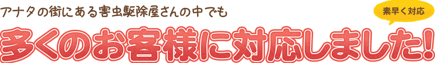 アナタの街にある害虫駆除屋さんの中でも多くのお客様に対応しました!