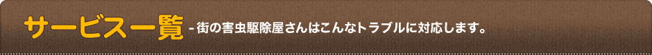 サービス一覧-街の害虫駆除屋さんはこんなトラブルに対応します。