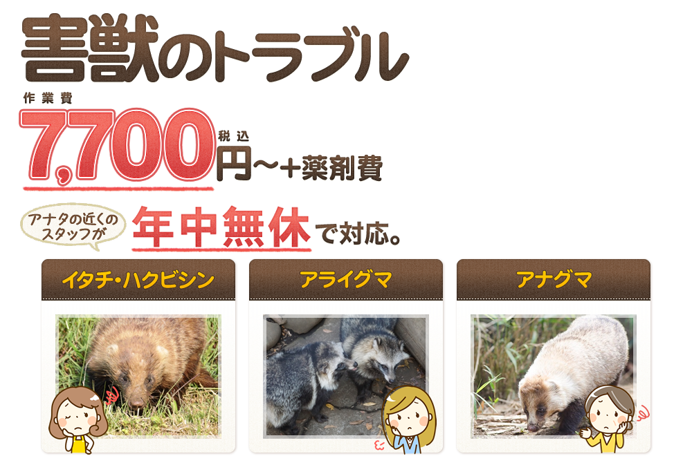 害獣のトラブル7,000円～!!でイタチ、ハクビシン、アライグマ、アナグマ